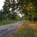 Path Stroll Fitness: How Hiking Can Seriously Help You Lose Weight (Without the Gym Dread)