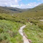 Trail Slim Health: How Hiking Transforms Weight Loss (Without the Gym Dread)