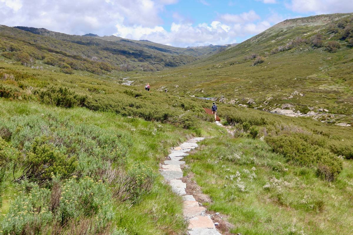 Trail Slim Health: How Hiking Transforms Weight Loss (Without the Gym Dread)