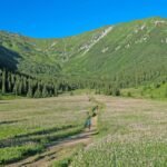 Eco Meadow Fitness: How Hiking in Nature Burns Fat, Builds Joy, and Beats the Treadmill