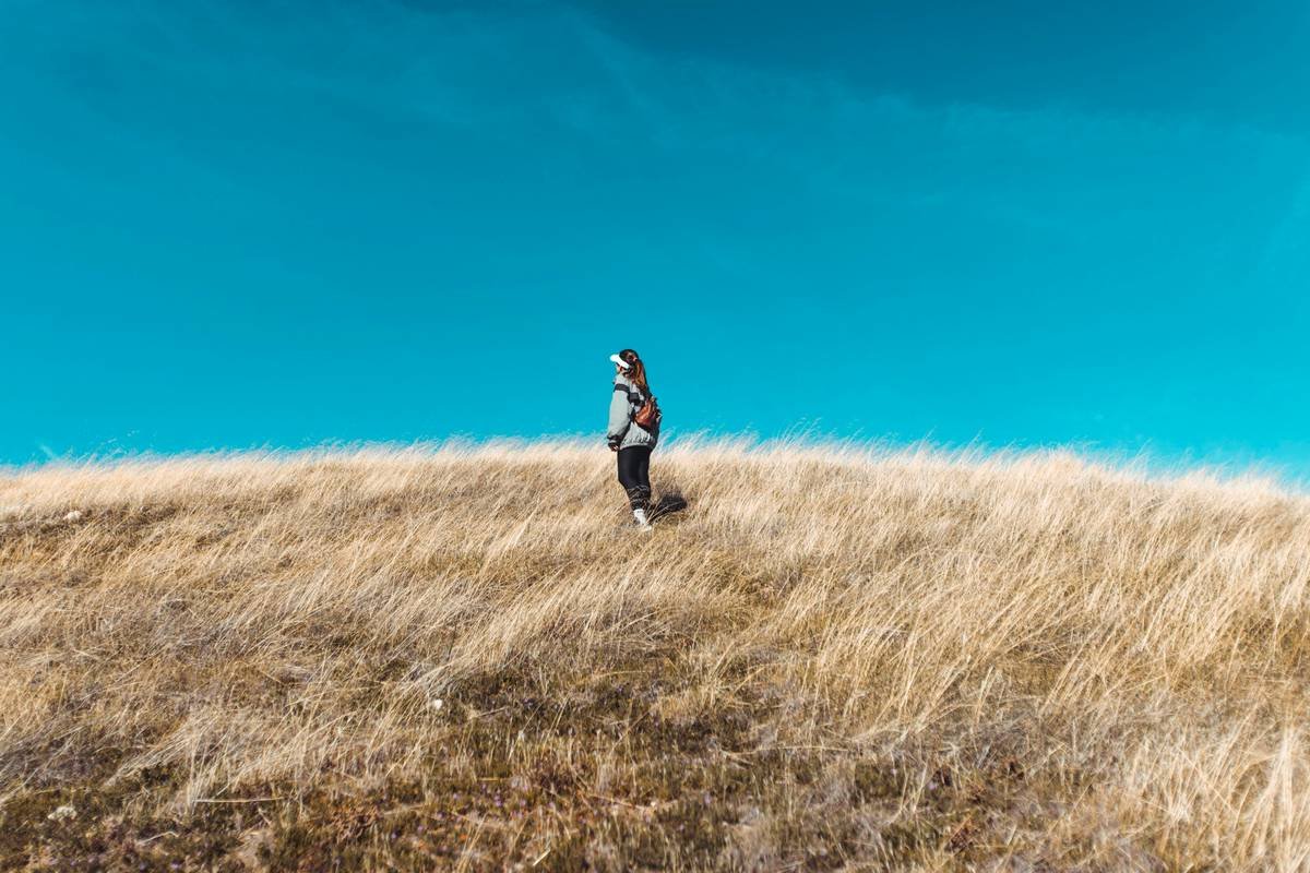 Green Meadow Loss: How Hiking Through Wild Grasses Burns Fat Better Than Your Treadmill