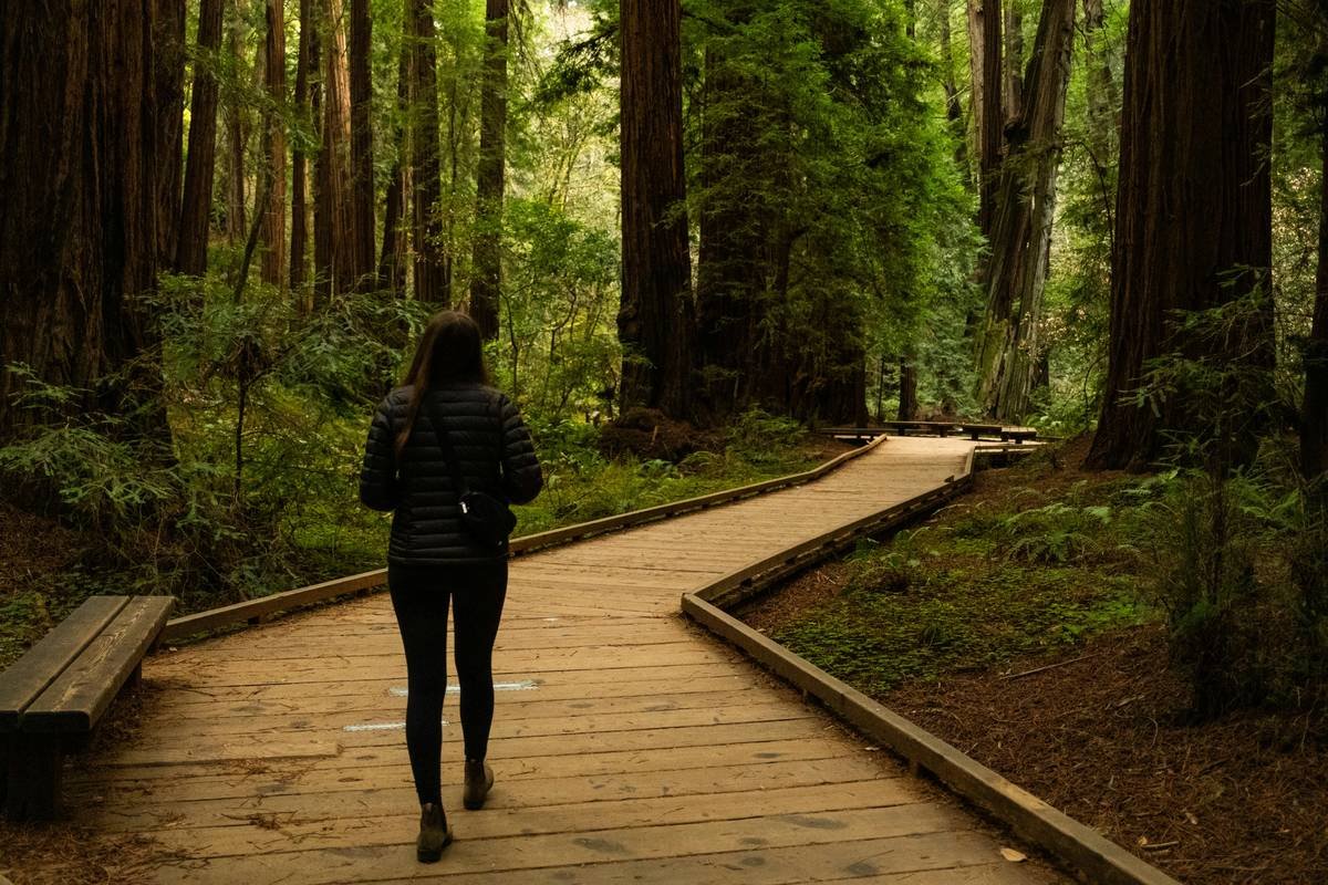 How Nature Torch Loss Burns Fat Better Than Your Gym Membership