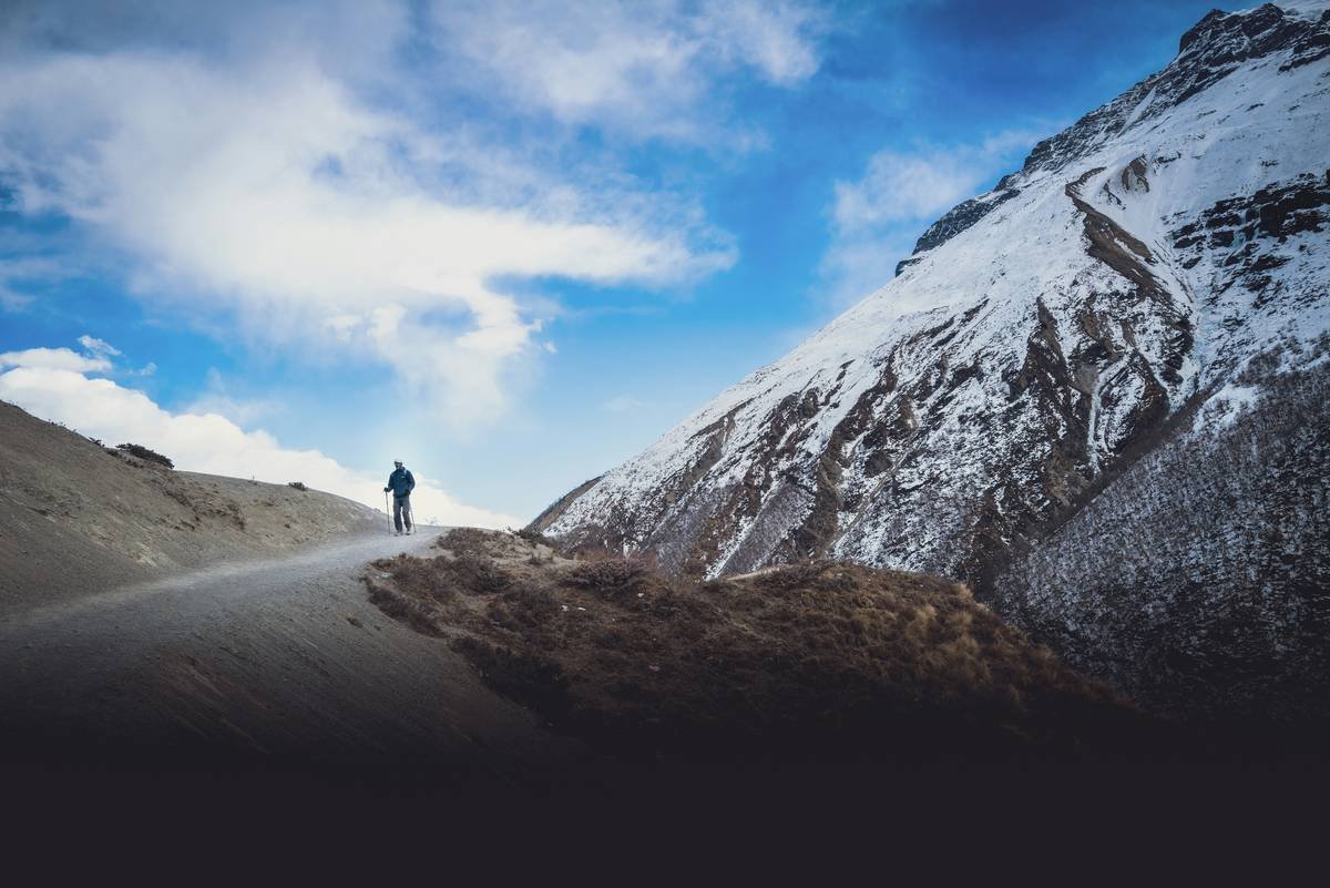 Scenic Path Slim: How Hiking Real Trails Burns Real Fat (Without the Gym Dread)
