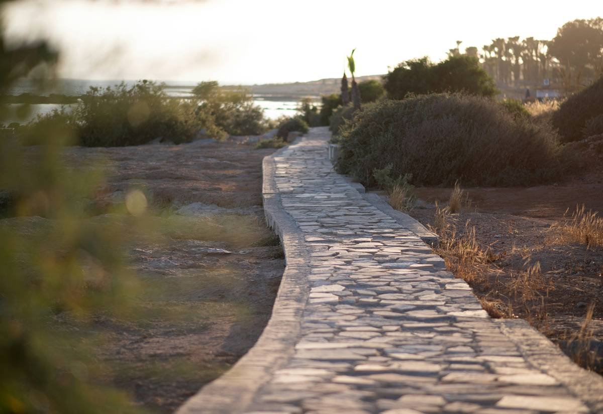 Stone pathway leading towards a body of water.