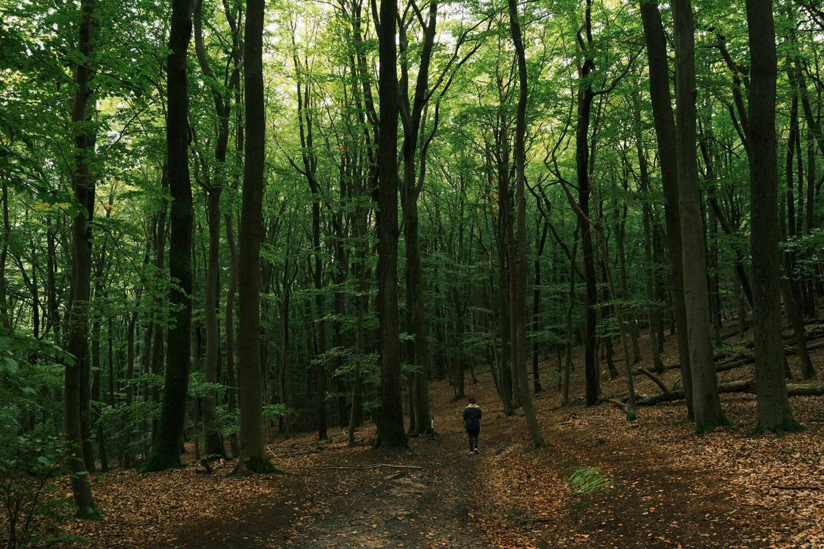 Why Gentle Path Fitness Might Be Your Missing Link to Sustainable Weight Loss