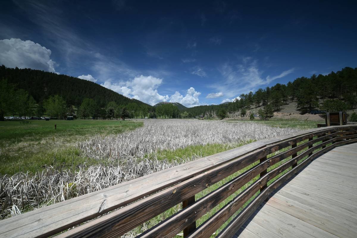Curved wooden boardwalk beside a dry marsh and green hills.
