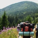 How Nature Walk Hiking Walking Weight Loss Actually Works (And Why Your Treadmill’s Gathering Dust)