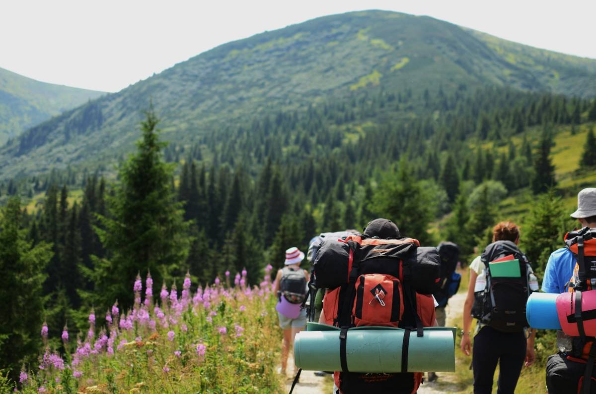 How Nature Walk Hiking Walking Weight Loss Actually Works (And Why Your Treadmill’s Gathering Dust)