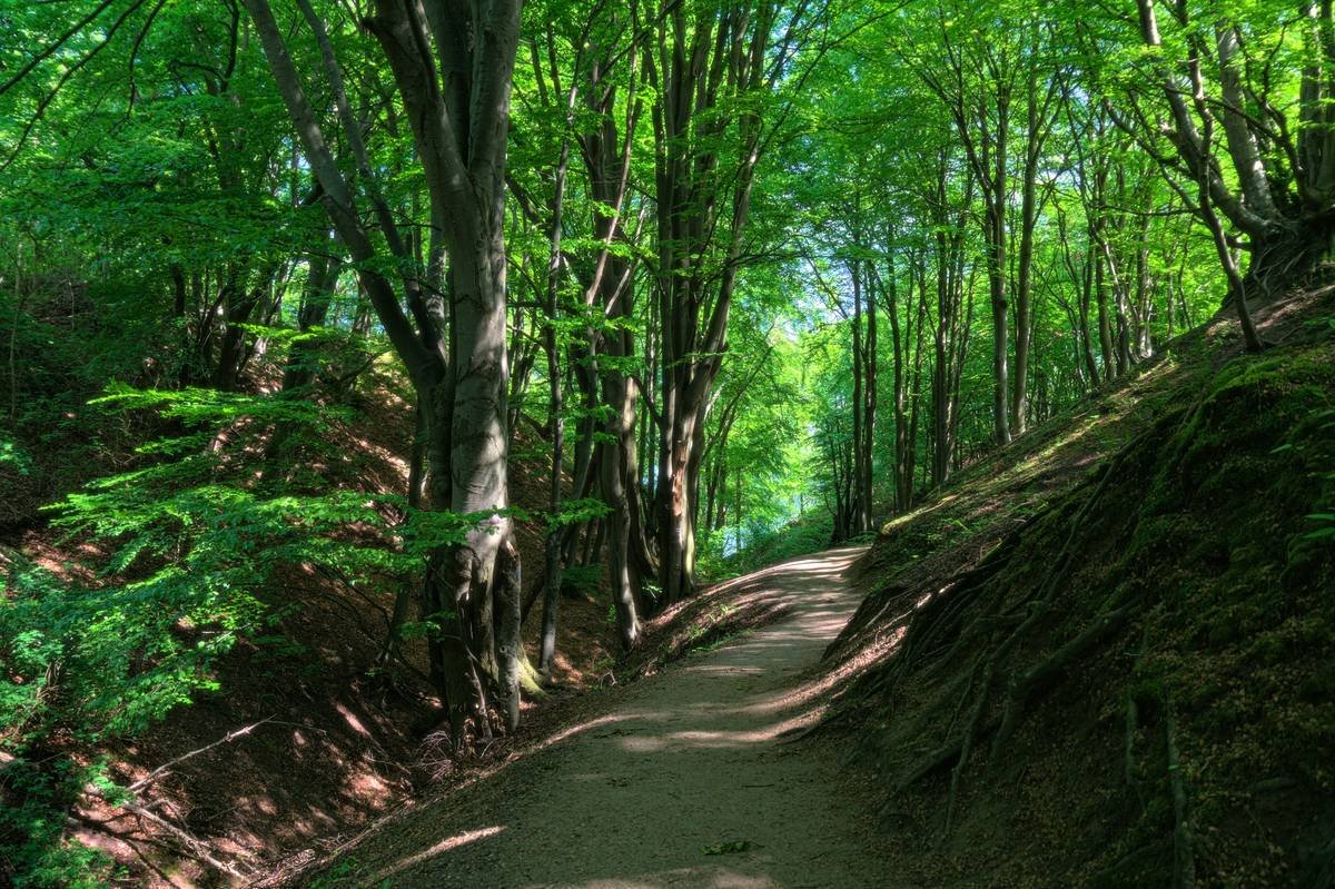 Infographic showing calorie burn comparison: treadmill vs. trail hiking vs. running