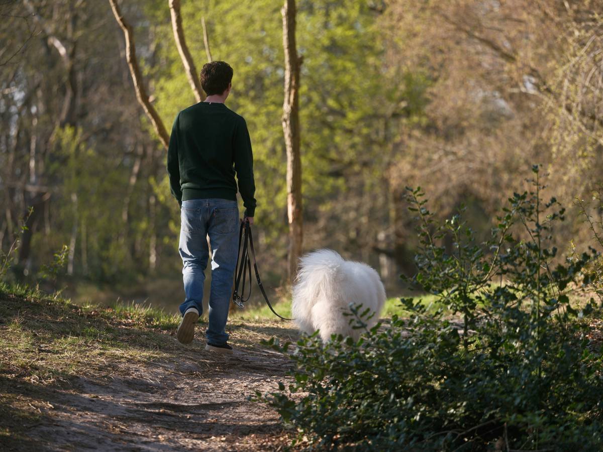 Man walking his dog..