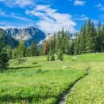 Outdoor Burn Hiking Doe More Calory: Why Trail Time Melts Fat Better Than Treadmills
