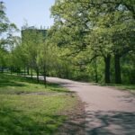 path meadow health