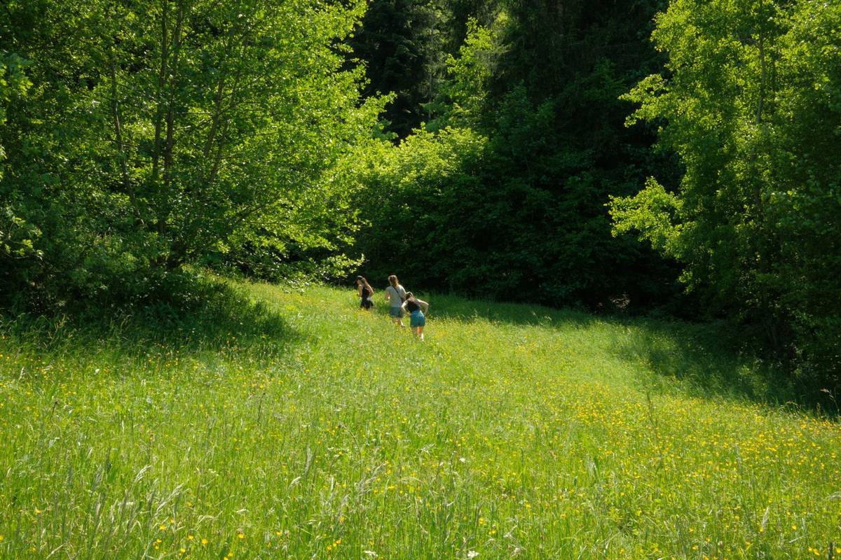 Sarah's transformation: before (in office clothes, looking tired) and after (smiling in hiking gear at a meadow)