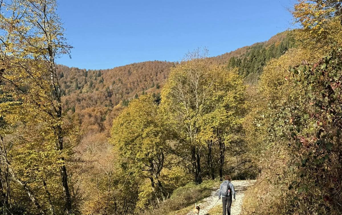 The Trail Trek Hiking Secret to Walking That Actually Burns Belly Fat (Without Starving Yourself)