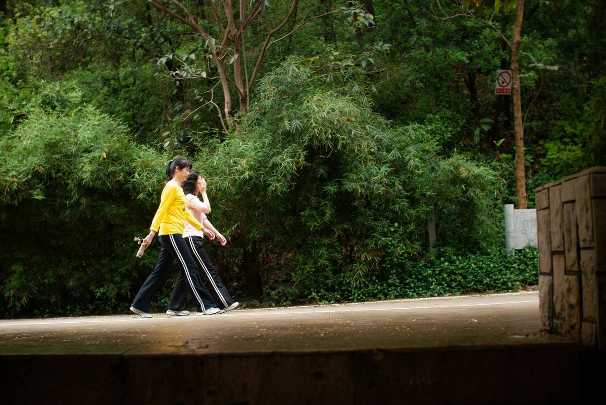 Two people walking on a path in a park.