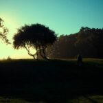 Why Calm Meadow Fitness Might Be Your Secret Weapon for Sustainable Weight Loss