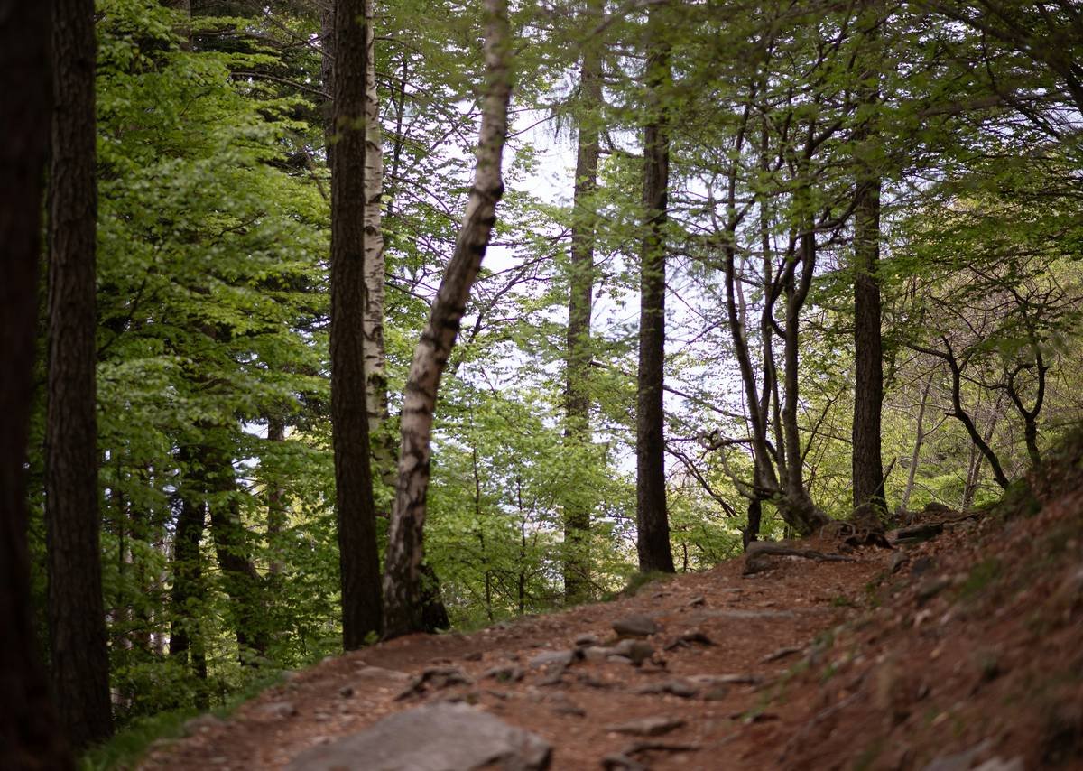 Why Nature Walk Hiking Is Good Exercise for Sustainable Weight Loss (And How to Start Right)