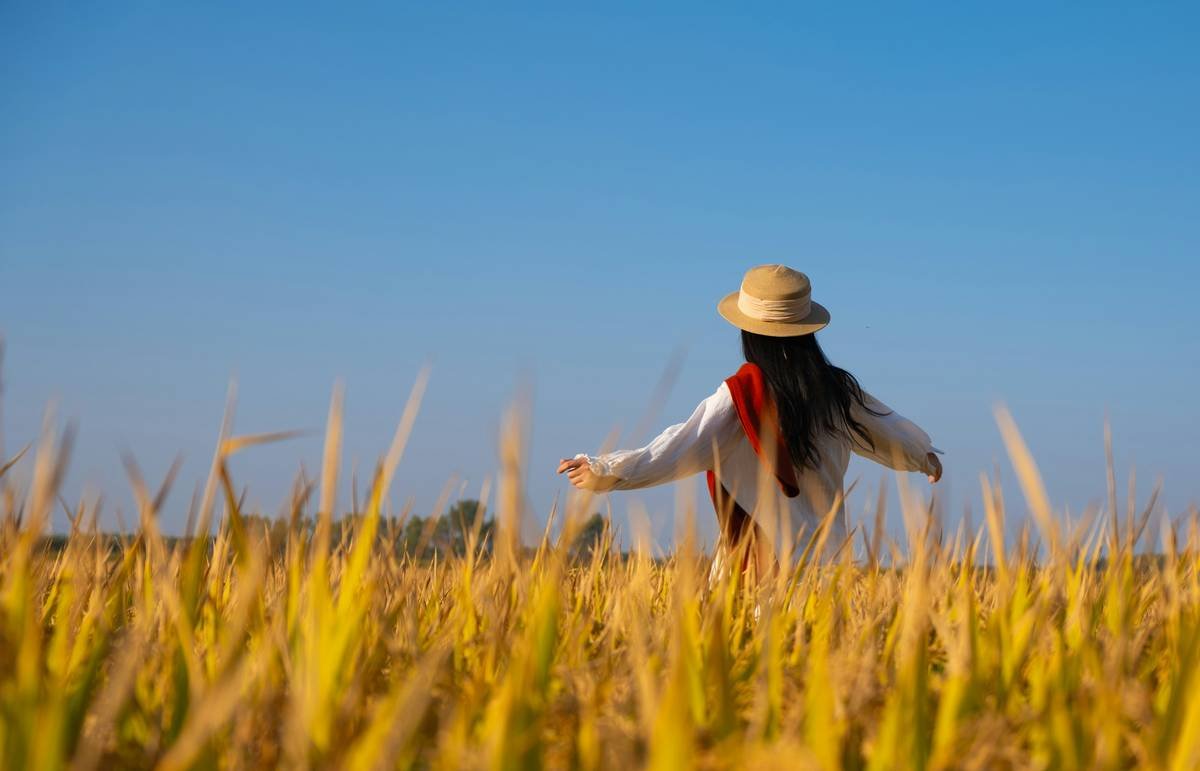 Woman in straw hat walks through golden field.