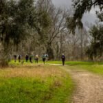 How Nature Walk Hiking Weight Loss Walking Transforms Your Body—and Mind