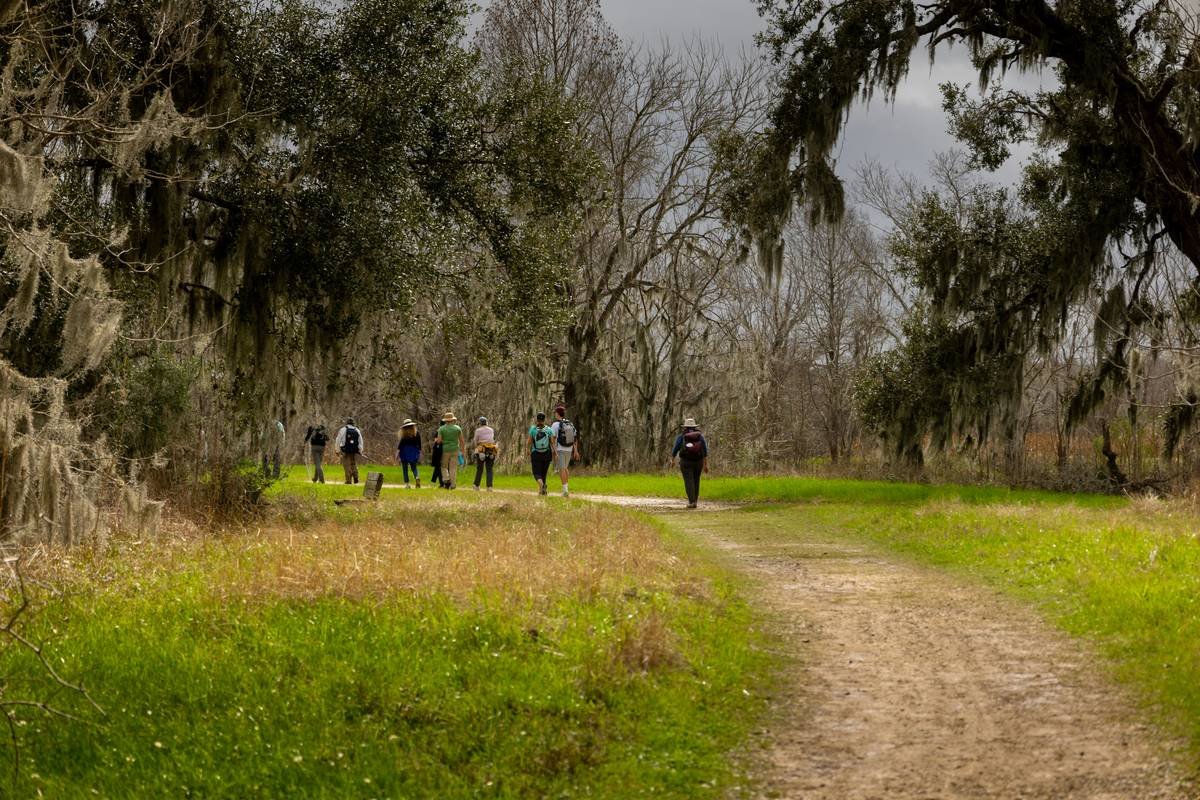 How Nature Walk Hiking Weight Loss Walking Transforms Your Body—and Mind