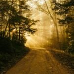 How to Lose Weight Hiking: Nature Walk Hiking How to Avoid Common Pitfalls