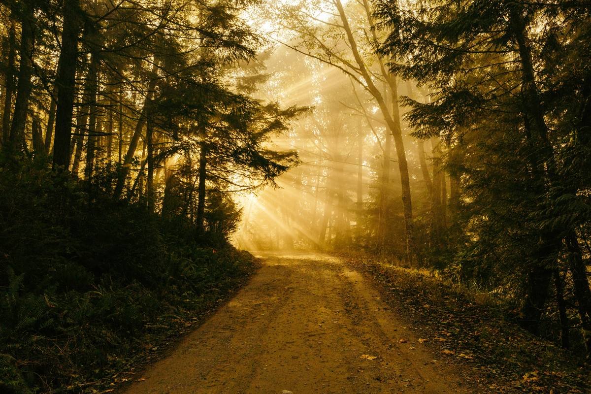 How to Lose Weight Hiking: Nature Walk Hiking How to Avoid Common Pitfalls