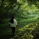 nature walk hiking how to make