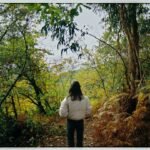 Trail Trek Hiking Walking Plan Beginner: Your No-BS Blueprint to Lose Weight in Nature