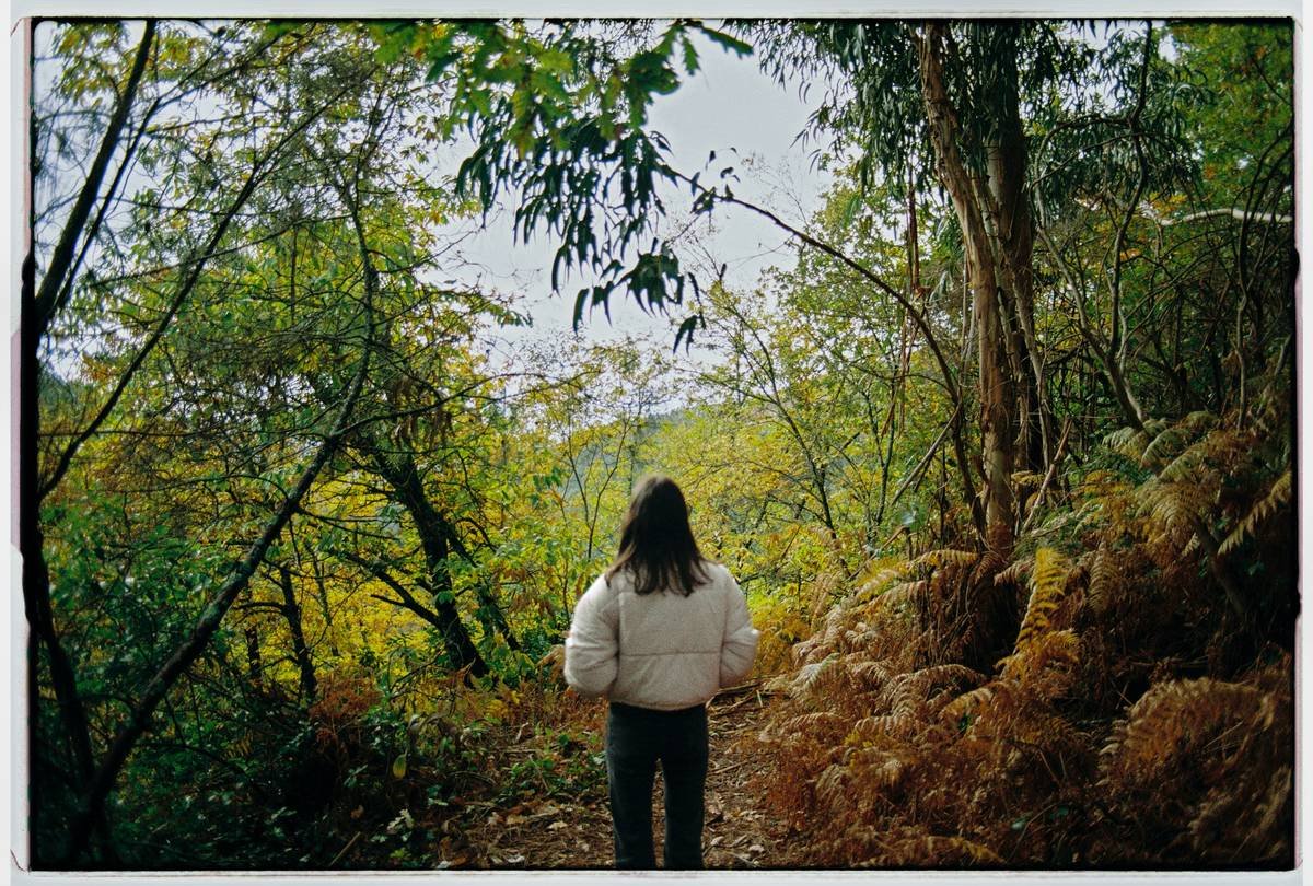 Trail Trek Hiking Walking Plan Beginner: Your No-BS Blueprint to Lose Weight in Nature